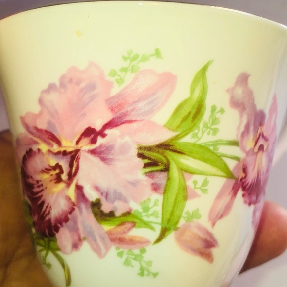 Powell River teacup, bone China, made for Hudson Bay in England- collectible - Picture 6 of 7